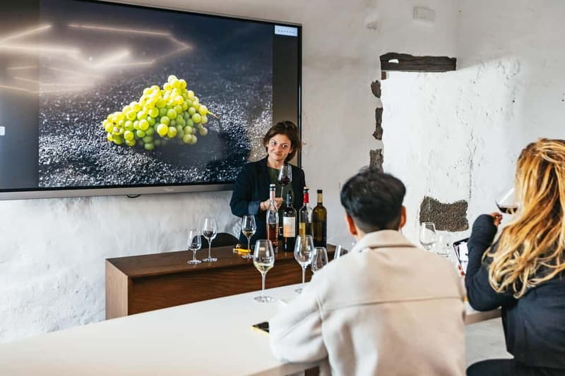 Wine Lovers: Wine Tasting Tour at El Grifo Bodega Lanzarote - Key things that make this wine tour worth your time