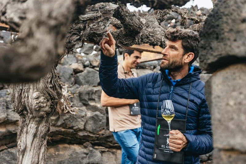 Wine Lovers: Wine Tasting Tour at El Grifo Bodega Lanzarote - Entering El Grifo, Lanzarote’s historic bodega