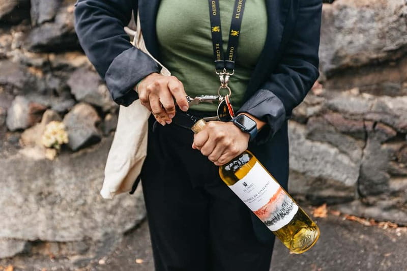 Wine Lovers: Wine Tasting Tour at El Grifo Bodega Lanzarote - The head sommelier tasting of 6 wines, built for your senses
