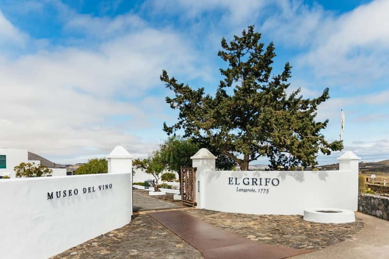Wine Lovers: Wine Tasting Tour at El Grifo Bodega Lanzarote - What you learn about malvasia, listán negro, and syrah