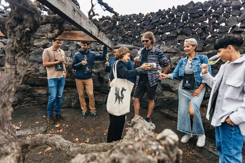 Wine Lovers: Wine Tasting Tour at El Grifo Bodega Lanzarote - Who will guide you, and why that matters