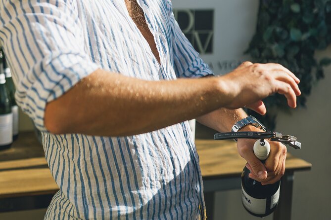 Wine Tasting Experience with a Professional Sommelier in Valencia City Center - The 2-hour flow, from aperitif to the final sweet bites